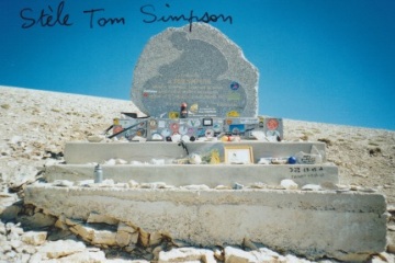 stele Simpson.jpg