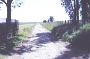 vue des paves.jpg