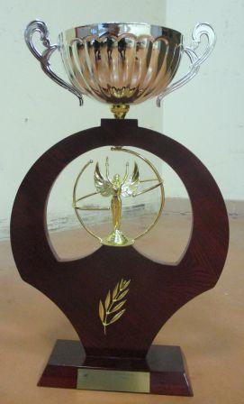 photo coupe Codep 2016